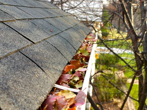 Gutter Cleaning