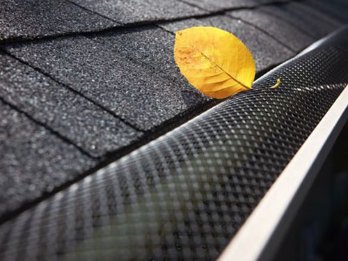 Gutter Protection