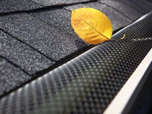 Gutter Cover Leaf Protection
